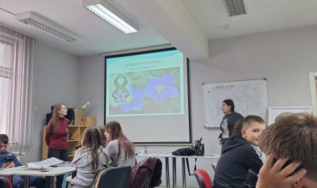 Dan primirja u Prvom svetskom ratu